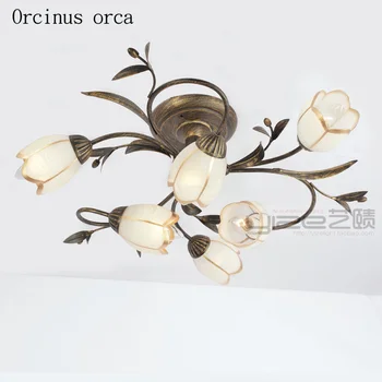 Amerikos kūrybinė asmenybė LED gėlių lubų lempa gyvenamojo kambario, miegamojo, koridoriaus Viduržemio jūros regiono Sodo retro geležies lubų lempa