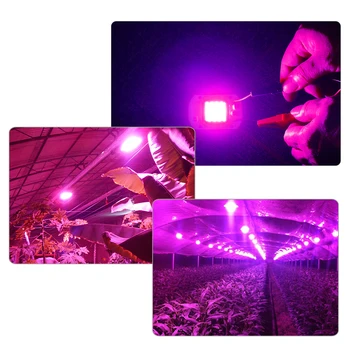 Vacamm viso Spektro Led Grow Light Lempa Smart Chip 20W 30W 50W AC 110V, 220V efektą Sukeliančių Hydroponics Augalų Augimo Potvynis Šviesa