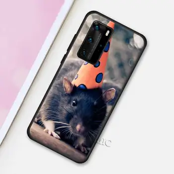Minkštas Atveju, Huawei 30 P40 Lite E P20 Pro P10 P Smart Z Plius 2019 Juoda Telefono Korpuso Voverė kiaulyčių Pelės Silikono Padengti