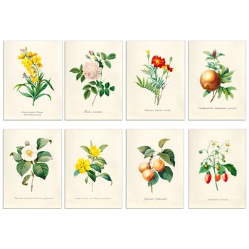 Kotedžas Modernus Kambarys Print Set 8 Wildflower Botanikos Sienų Tapybos Derliaus Gėlių Virtuvės Tendencijas, Kaimo Turizmas Meno Be Rėmelio Nuotraukas