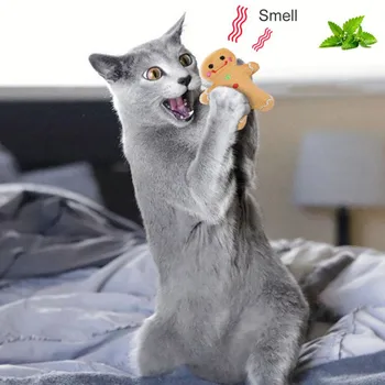 Katė Žaislas,Mažų Catmint Pagalvę,katė žaislas su katžolių,katės dantų valymas kramtomoji Naminių Kačių Pliušinis Įdomus Kramtomoji Dantų Žaislas