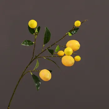 Modeliavimo Žaliųjų Augalų Dirbtinių Vaisių, Gėlių Geltona Modeliavimas Citrinų Vaisių Medžio Šakos