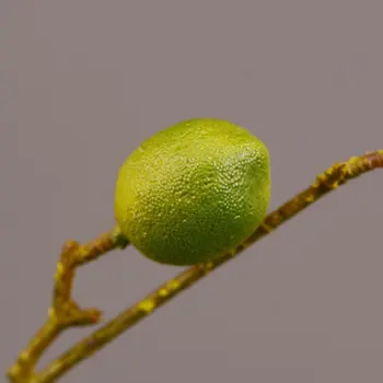 Modeliavimo Žaliųjų Augalų Dirbtinių Vaisių, Gėlių Geltona Modeliavimas Citrinų Vaisių Medžio Šakos