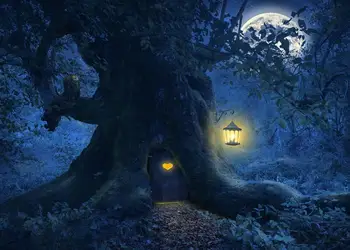 Helovinas Foto Fone Animacinių Filmų Miško Medžių Naktį Mėnulis Užsakymą Photocall Fotografijos Fonas Vinilo Fotostudija