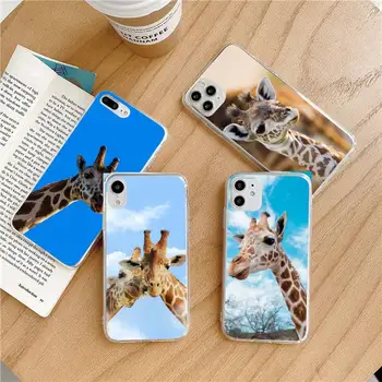 Zebra Žirafa mielas gyvūnas Telefono dėklas Skaidri minkšta iphone 5 5s 5c se 6 6s 7 8 11 12 plus x mini xs xr pro max