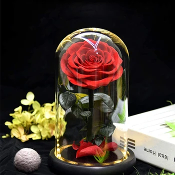 Rose, Kuris Trunka Amžinąjį Amžinai Konservuoti Gėlių Stiklo Kupolas Lempos Valentino Motinos Diena Dovanų Dėžutėje
