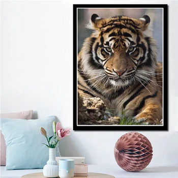 Tigras Tapybos Sienos Menas Drobė Paveikslų, Plakatų Ir Grafikos Estetinės Laukinių Gyvūnų Sienos Menas Nuotraukas Kambarį Namų Dekoro