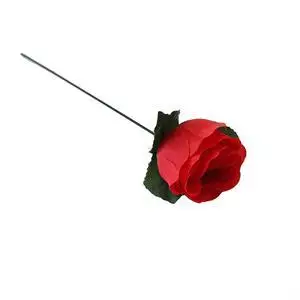 1PCS Karšto Pardavimas Naujų Žemiausia Kaina Etape Close Up Magic Trick Deglas Rose Gudrybės Populiarus Gaisro Liepsnos Pasirodo Gėlių