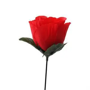 1PCS Karšto Pardavimas Naujų Žemiausia Kaina Etape Close Up Magic Trick Deglas Rose Gudrybės Populiarus Gaisro Liepsnos Pasirodo Gėlių