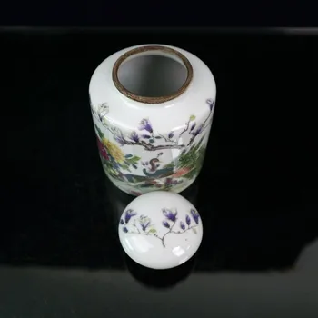 Kinijos seno porceliano Pastelinės Gėlės ir paukščiai modelis Dangčio jar Gavimo puodą
