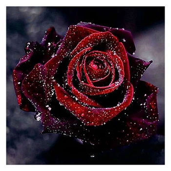 Vandens lašas rožių gręžimo DIY 5D Diamond Siuvinėjimo rankdarbiams diamond Tapybos Kryželiu Rinkiniai namų dekoro
