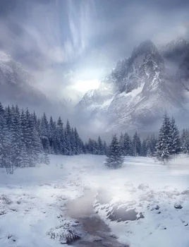 Žiemos peizažas vinilo audiniu sniego miškų kalnų fotografijos backdrops, vestuvių, vaikų foto studija, portreto fonas