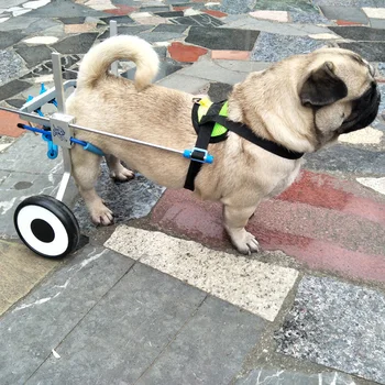 Šuo Susisiekimas užpakalinės galūnės reabilitacijos didelis šuo vaikščioti paralyžius neįgaliesiems katė padeda mažas šunelis užpakalinių kojų atramos