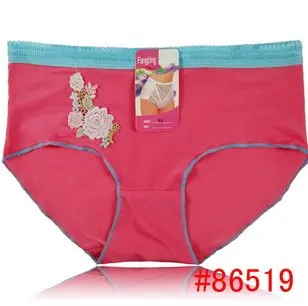 Moterų Gražių Gėlių Siuvinėjimas Minkštas Šilko Kelnės Underwears moteriškas apatinis Trikotažas, įvairių spalvų XL 10vnt/daug Didmeninės