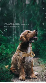 Karinis Taktinis Šunų Antkaklis Vokietijos Shepard Vidutinis Didelis Šunų Antkakliai Vaikščioti Mokymo Duarable Šunų Antkaklis Valdymo Rankena