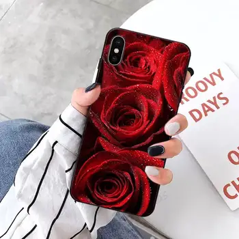 Raudona rožė, gėlės, meilė, Telefono dėklas skirtas iPhone 11 12 pro XS MAX 8 7 6 6S Plus X 5S SE 2020 XR