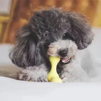 Kūrybos Šuo Molars Žaislai Pet Mokymo Kramtyti Žaislus TPR Medžiagos, Nesunaikinami Šunų Dantų Valymo Produktai Atleisti Nuobodulys