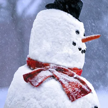 Sniego Apdailos Priėmimo Komplektas Kalėdų Senį Suknelė Sniego Suknelė Tiktų Akis Žaislas, Dovana, Dovanų 16 Gabalas Sodo Burną Sniego Žmogus