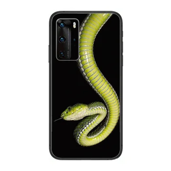 Gyvatė Augintiniai Gyvūnų revvlry Telefoną Atveju Huawei P 40 30 20 10 Lite Smart Z Pro Juodos spalvos Dėklu Coque Tapybos Hoesjes komiksų mada