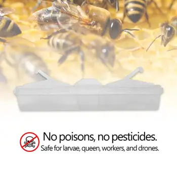 10 Vnt Bičių Spąstus Baitable Daugkartinio Naudojimo Vabalas Spąstus Jokių Nuodų Nėra Pesticidų Bitininkystės Įrankiai