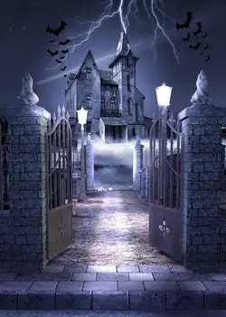 Capisco Persekioja Trileris apleista pilis Šikšnosparniai fotografijos backdrops Vinilo Aukštos kokybės Kompiuteris spausdinti Helovinas Fonas