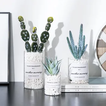 Modeliavimo Kaktusas Puodą Augalų Augalų Dekoruoti Smulkių Prekių Stiklo Darbalaukio Vaza Micro Kraštovaizdžio Namų Dekoro Priedai INS