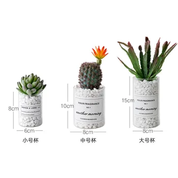 Modeliavimo Kaktusas Puodą Augalų Augalų Dekoruoti Smulkių Prekių Stiklo Darbalaukio Vaza Micro Kraštovaizdžio Namų Dekoro Priedai INS